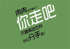 pr九天狐软件大全
